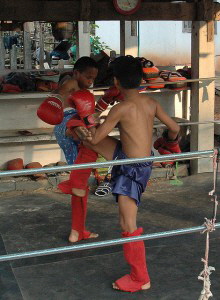 Thai-boxing-the-kick-and-the-block-by-Marshall-Astor-at-Flickr-521506034_f5f94b709a_z