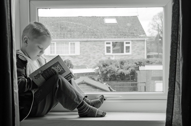 Boy-with-book-in-window-learning-164332_640