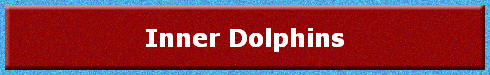 Inner Dolphins