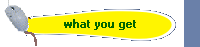 what you get