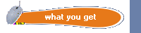 what you get